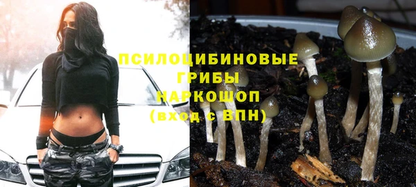 ALPHA PVP Гусев