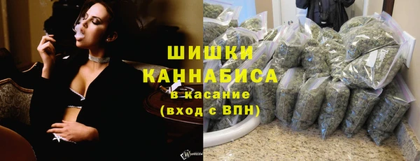 ALPHA PVP Гусев