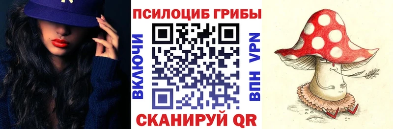 Галлюциногенные грибы Psilocybe  Купить где  Киренск 